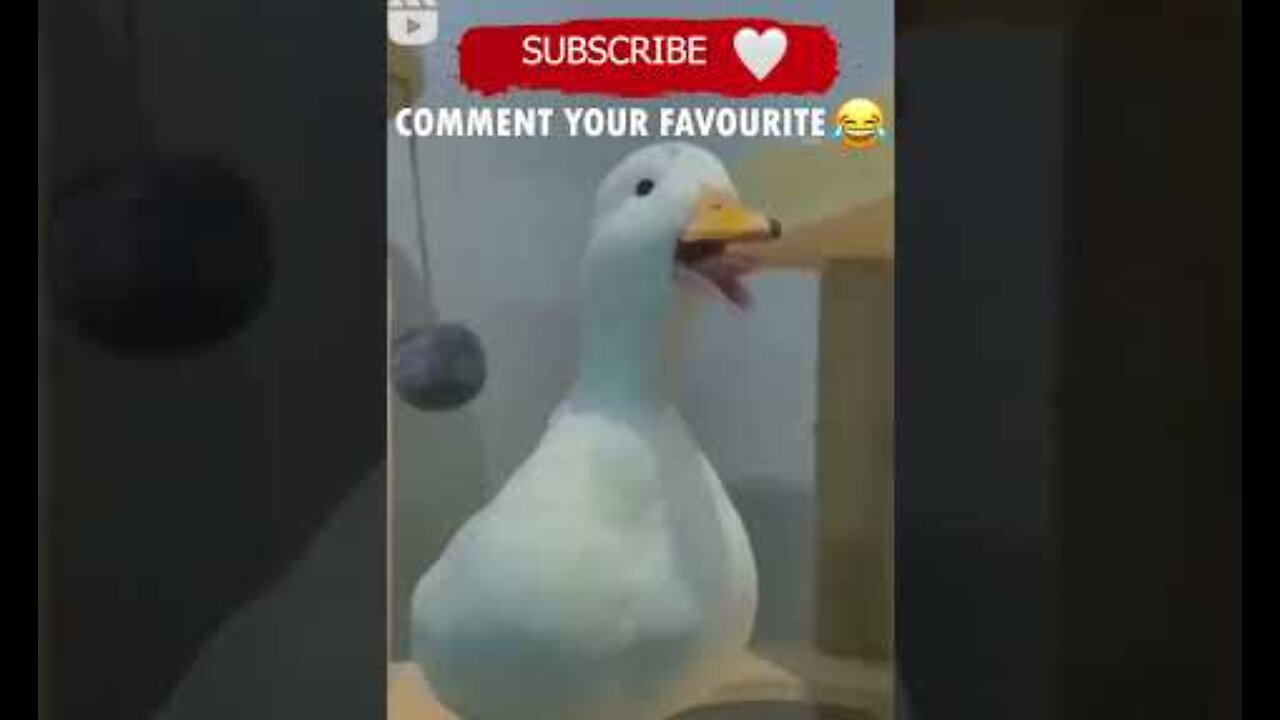 Best Fails Short Comapilation😂Try Not To Laugh Challange😂You Laugh You Lose😂 Funny Memes😂Tiktok 😂😂😂