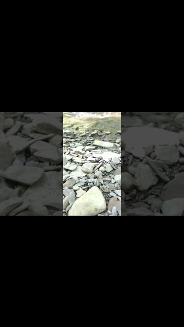 ASMR | Nature Sounds | Water