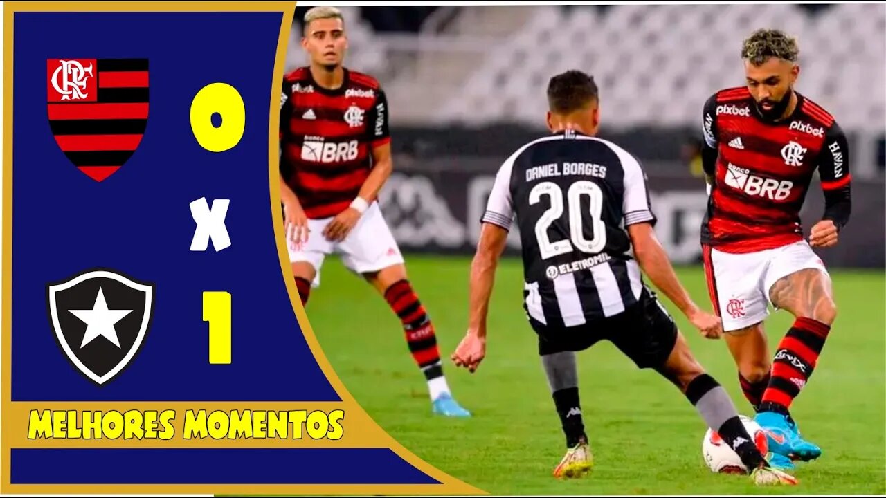 Flamengo 0 x 1 Botafogo | Melhores Momentos | 08/05/2022