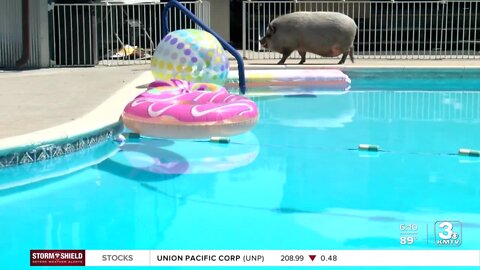 Omaha homeowner uses Swimply app to share her pool with the community