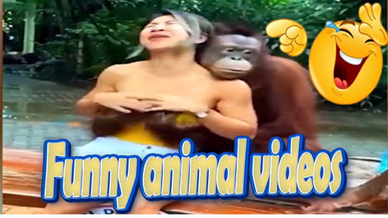 Best Funny videos animal 2023 - Troll prink for Cat and Dogs