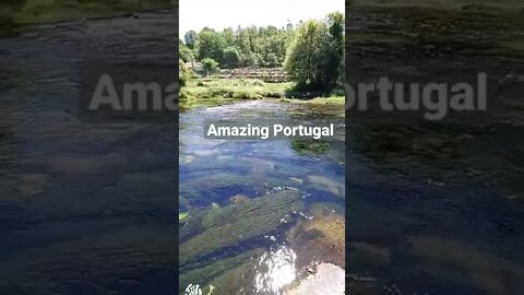 Minho Portugal. #travel #portugal #europa #nature