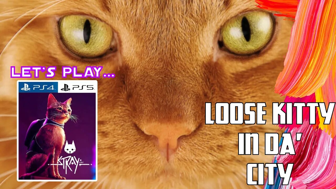 WE BE IN THE CITY, STRAY THE GAME ABOUT A KITTY | #LETSPLAY #PS4 #PS5 | GAMING AND SONG REQUEST LIVE