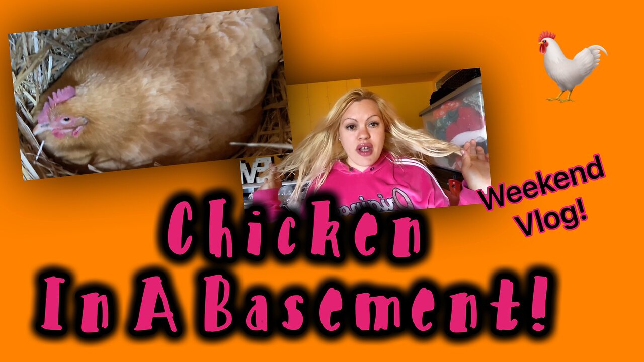 Chicken In A Basement! Weekend Vlog