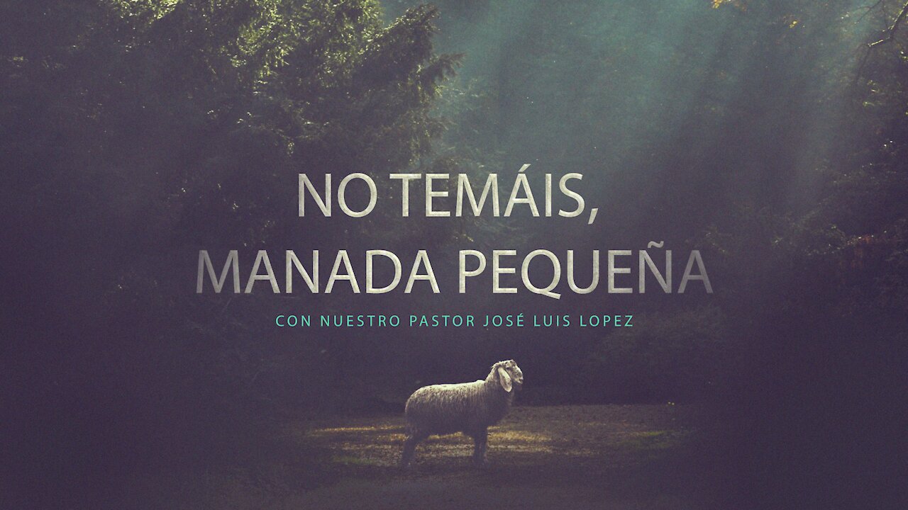No temáis, manada pequeña