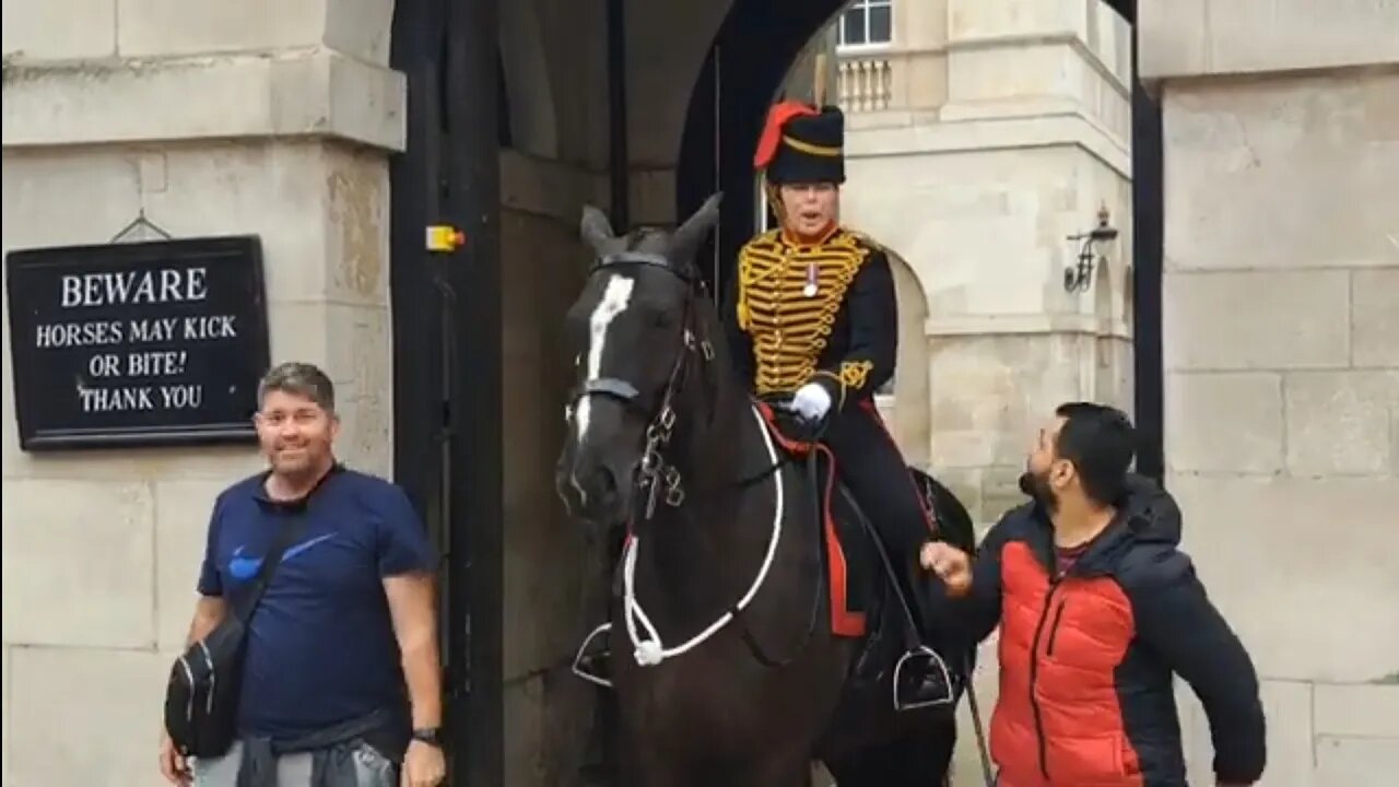 Well he got a shock don't touch the reins #horseguardsparade