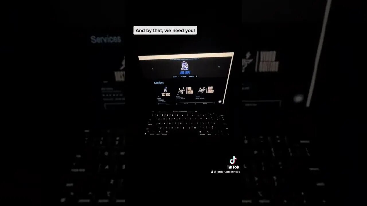 Lord Erupts Services on google