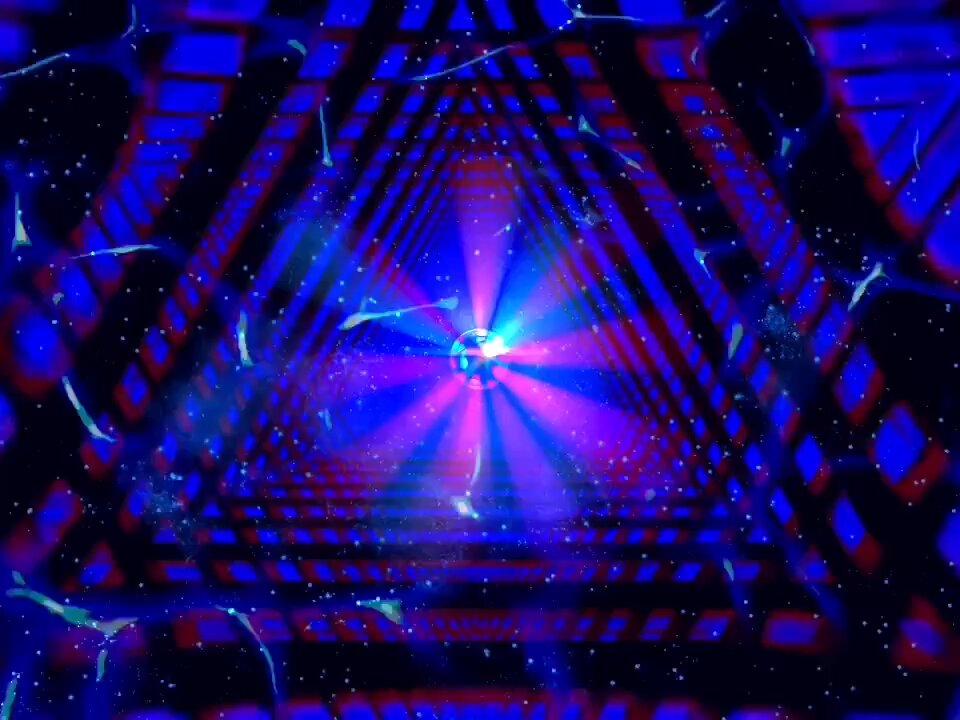 Seeing Through