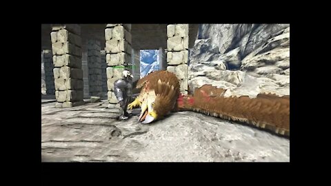 Ark - We tamed 2 Griffins in 30 mins [Xbox] (Official PvP)