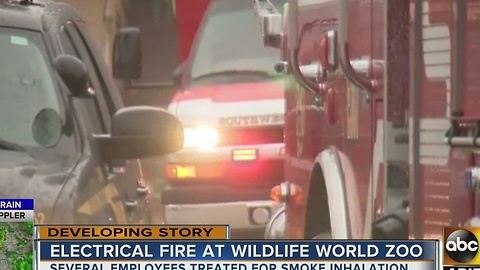 Crews battle electrical fire at Wildlife World Zoo