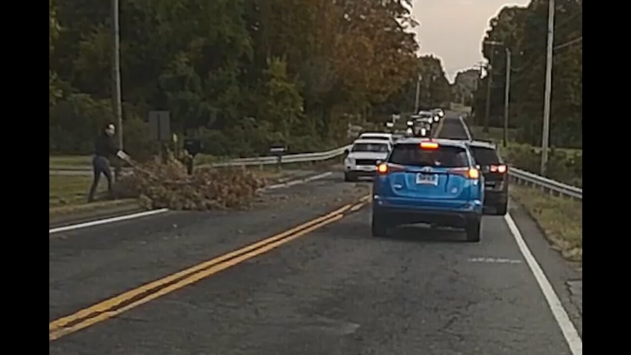 Lady clears tree branches in road while onlookers standby