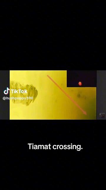 Tiamat “ Clamshell “ View