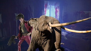 Crazy elephant attack caught on camera!!!