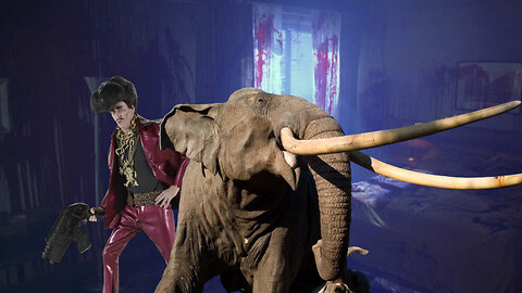 Crazy elephant attack caught on camera!!!