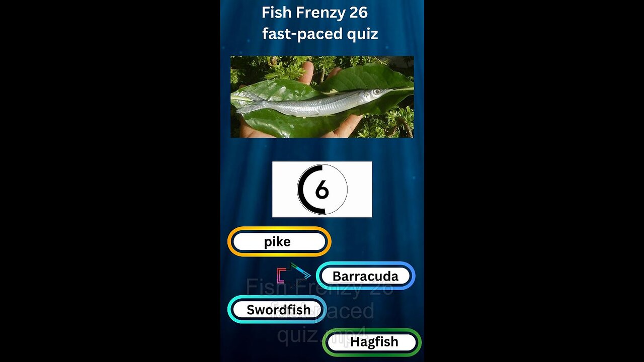 Fish Frenzy 26 A fast-paced quiz