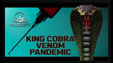 VENOM, COBRAS, Digital Warriors, NYC...more EXPOSURE of the DS evil! PRAY!