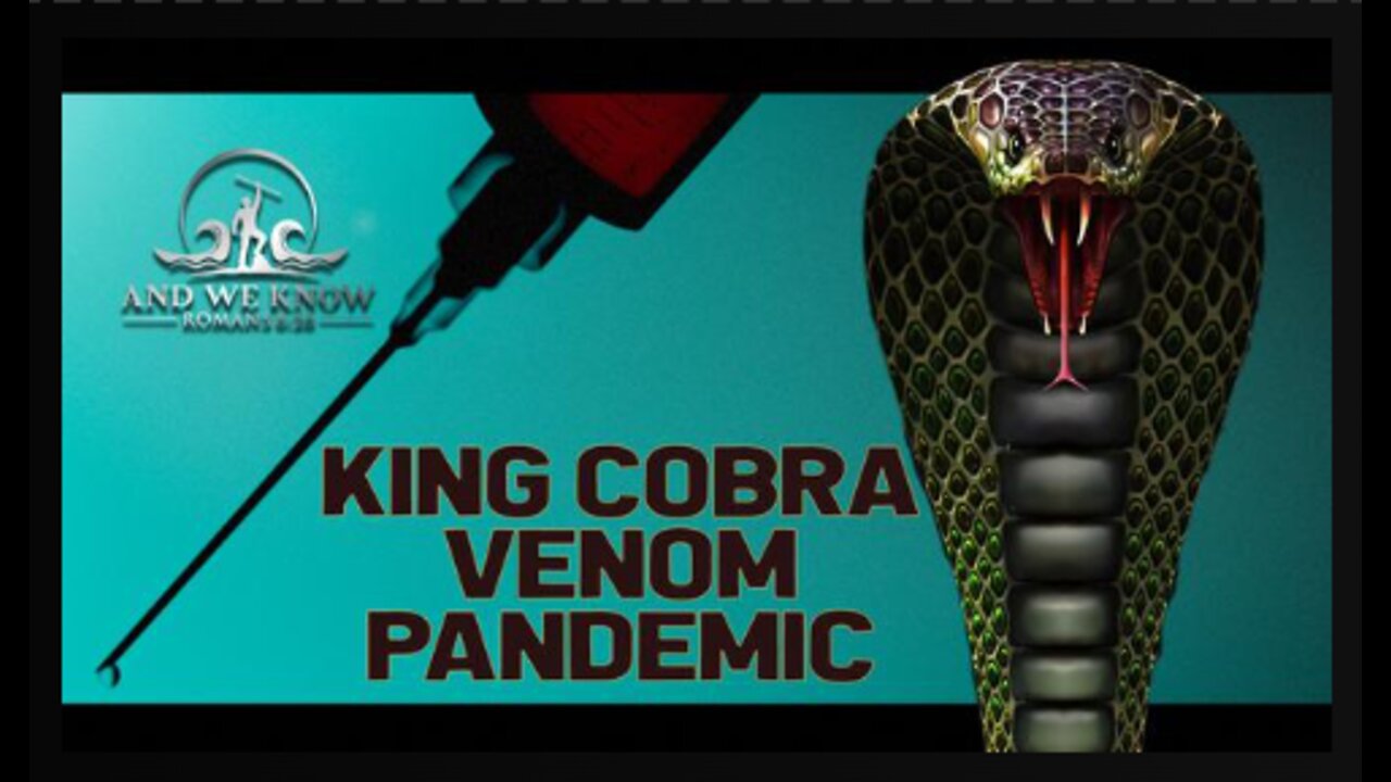 VENOM, COBRAS, Digital Warriors, NYC...more EXPOSURE of the DS evil! PRAY!