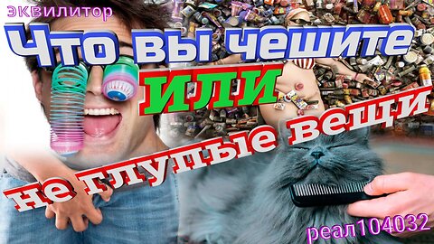 005 22 Эквилитор Что вы чешите или не глупые вещи