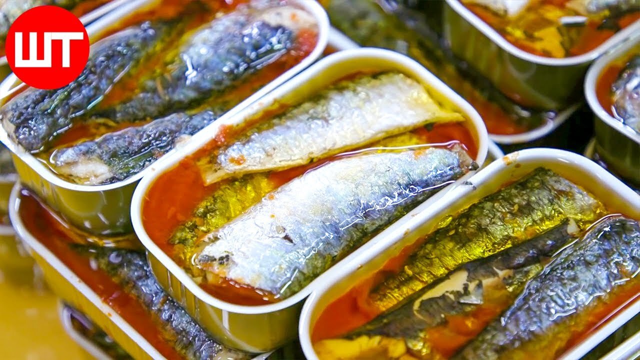 How Sardines are made | How Sardines are Caught & Processed