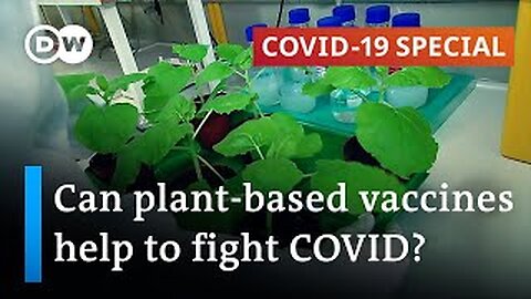 mRNA GMO Tabacco and Vegi Vaxine Bio-Weapon Coming to a Market Near You. Stealth Attack