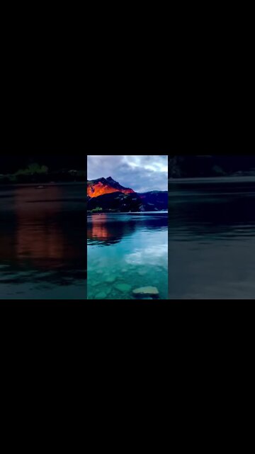 Good evening #shorts #subscribe #status #love #viral #trending #like #goodmorning