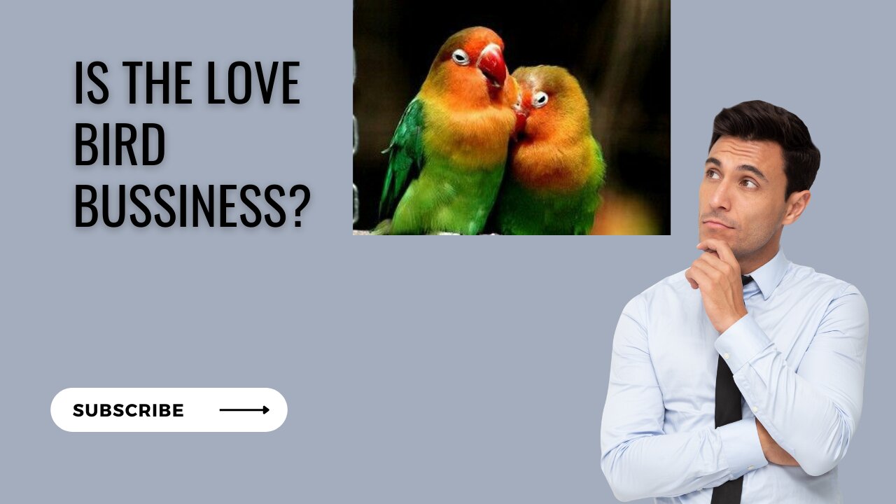 Love Bird Bussiness