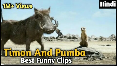 Timon and pumba best funny clip