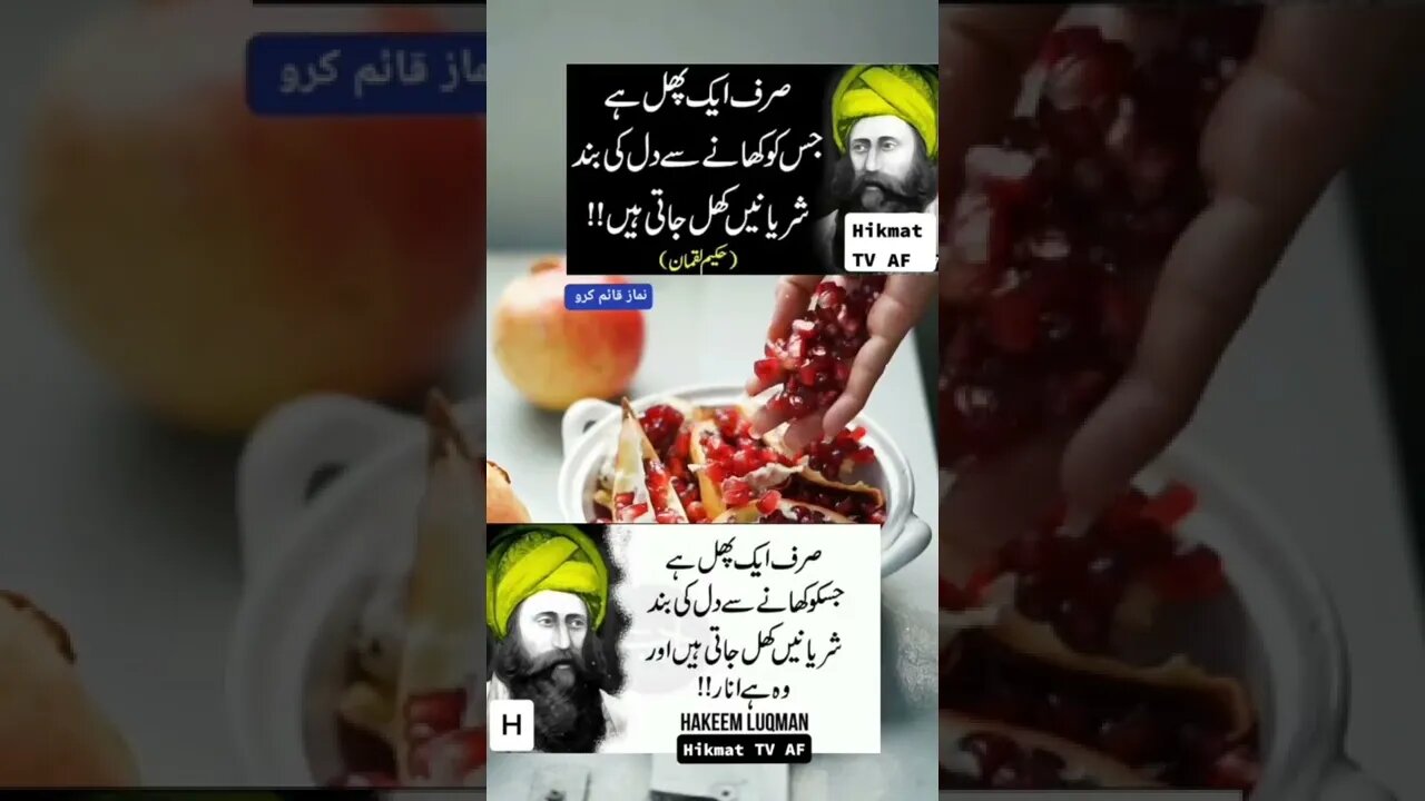 World Info Point l informative videos l #information #trending #amazing #intresting #shorts #health