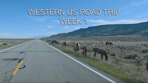 Western US Road Trip Week 1