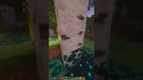 What should we build next? Minecraft 1.19 Java & Bedrock 24/7 Public SMP Server IP 46.4.53.240:27086