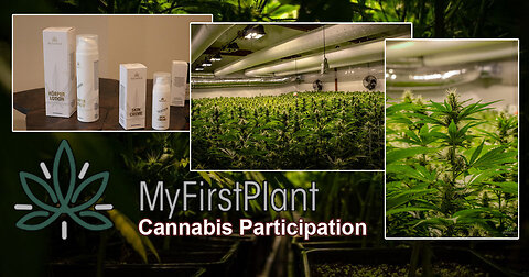 MyFirstPlant Explanation My First Plant review #MyFirstPlant #OnlineMoneyMaking #MoneyOnTheInternet