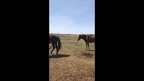 Windy Mother’s Day 23￼