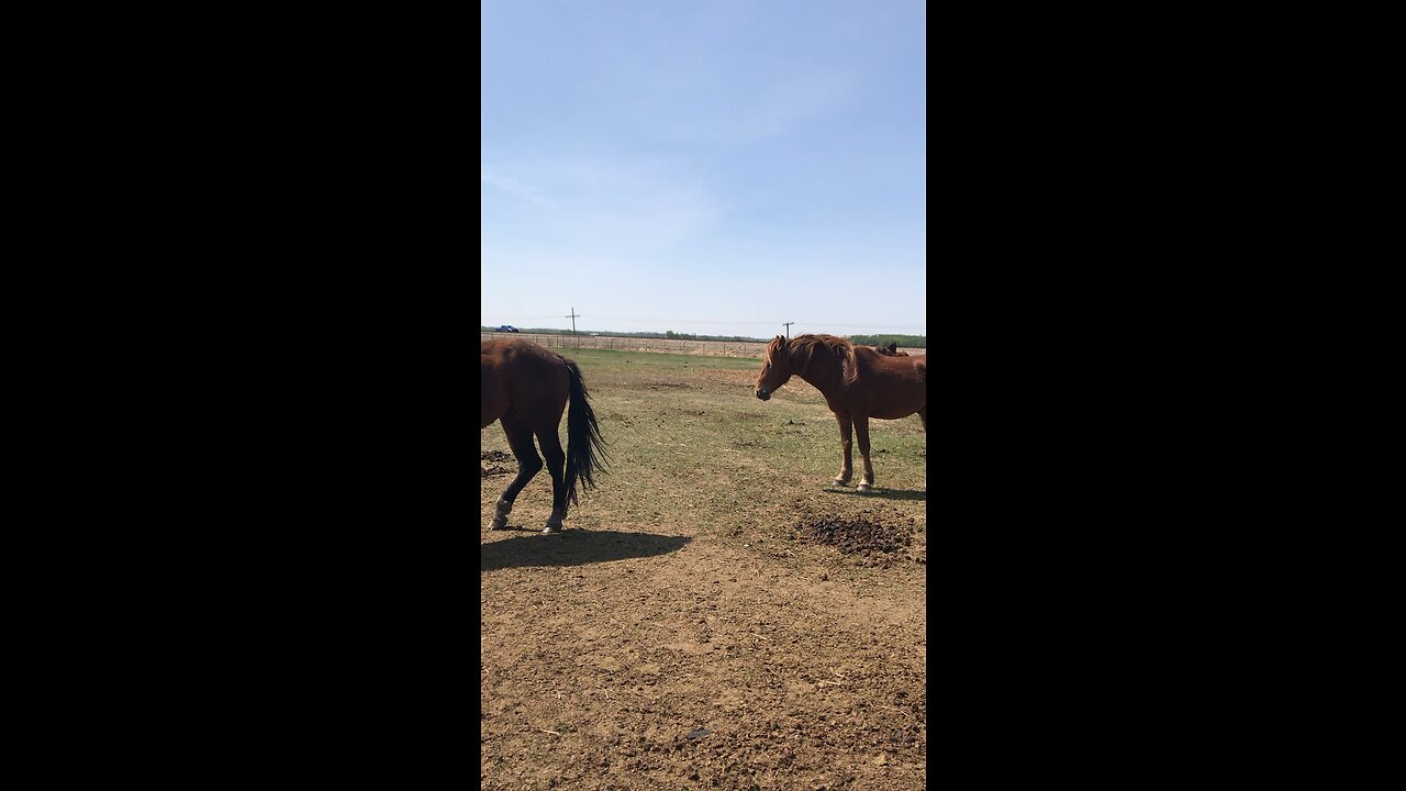 Windy Mother’s Day 23￼