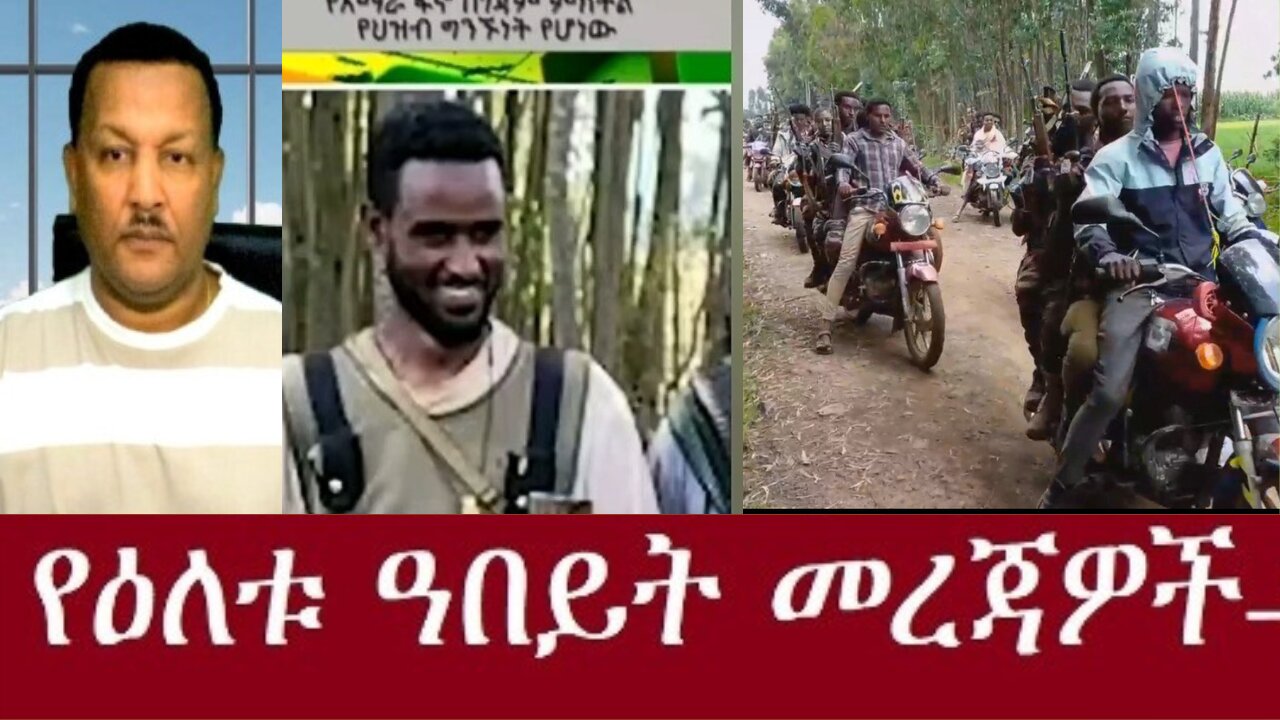 በጎጃም በተደረገው ዉጊያ ላይ 61 የገዥው ቡድን ሲገደሉ Nov 18 2024 #dere news #dera zena #zena tube #derejehabtewold