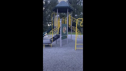 The Playground