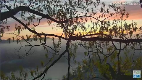 Hays Eagles nest beautiful misty morning 2020 05 02 610am