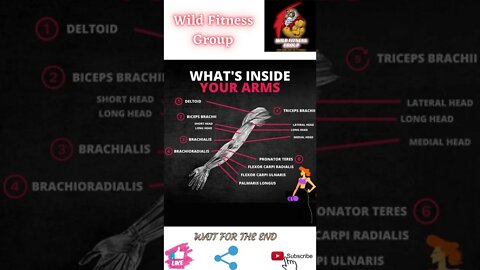 🔥What is inside your arms🔥#shorts🔥#wildfitnessgroup🔥8 April 2022🔥
