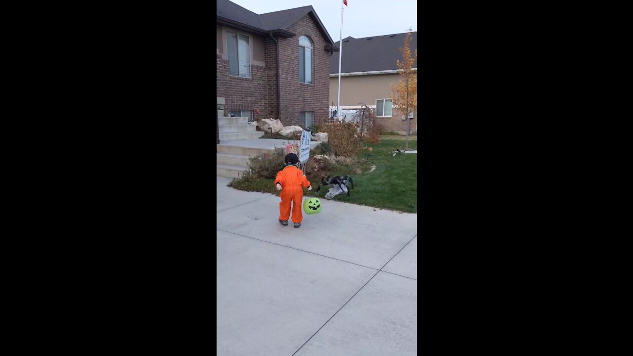 Boy scared of Halloween decoration