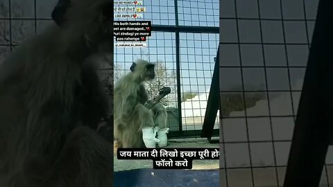 #drivingfails #shorts