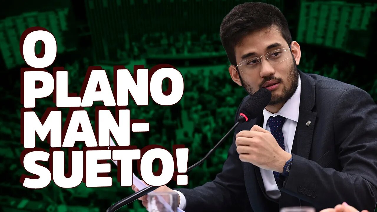 Por que votei contra o plano "Mansueto"?