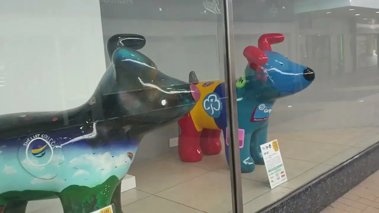 Walking around Huddersfield looking for Snow dogs