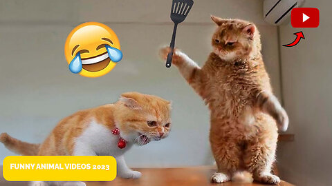 4. "Laugh Your Way into the New Year with These Top Animal Videos of 2023"