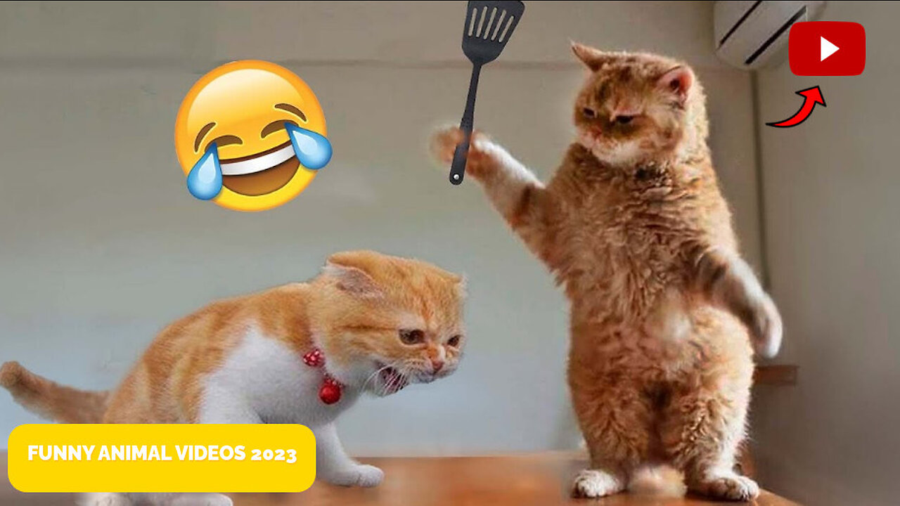 4. "Laugh Your Way into the New Year with These Top Animal Videos of 2023"
