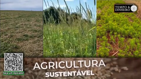 Agricultores e pesquisadores apresentam os benefícios da cobertura do solo - RZ