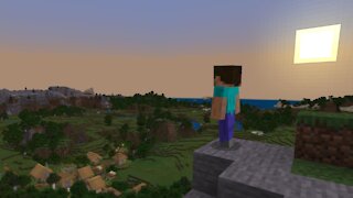 What Is Minecraft Steve?