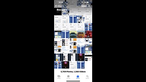 🐑🦁🦁🦁🐑🦁🦁🦁🐑