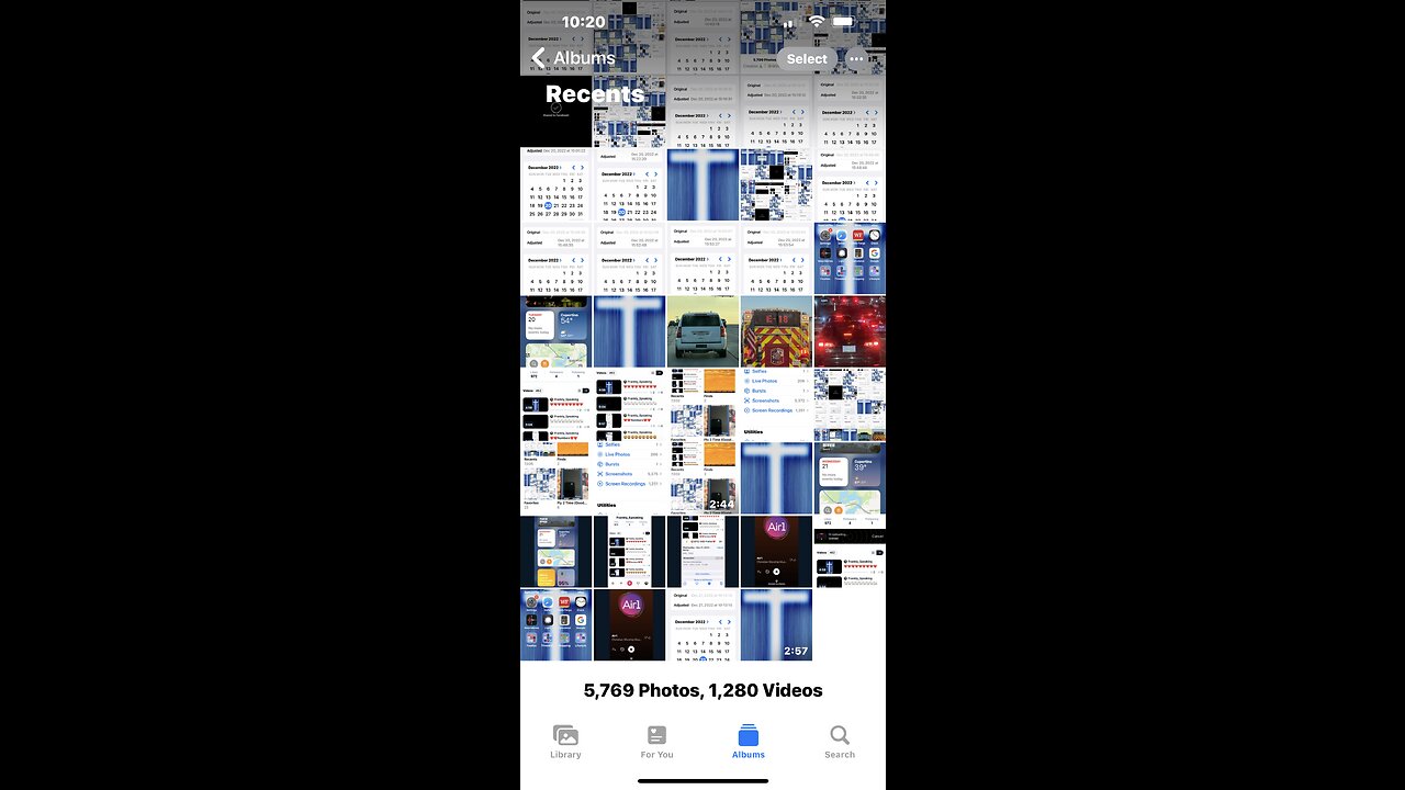 🐑🦁🦁🦁🐑🦁🦁🦁🐑