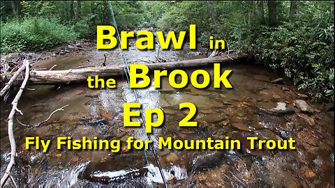 Small Creek Small Trout equals Fun Times! EP 2 Another Brawl in the Brook