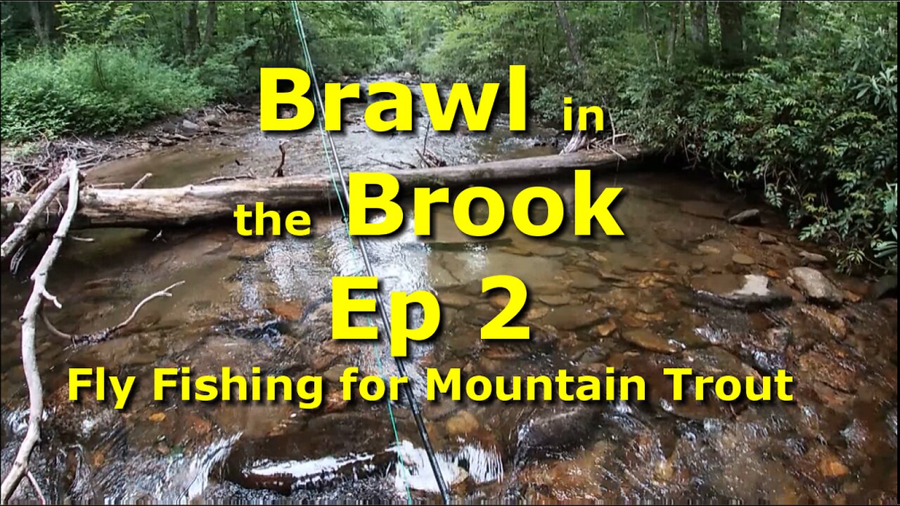 Small Creek Small Trout equals Fun Times! EP 2 Another Brawl in the Brook