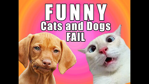 Funny Cats and Dogs fail, Try not to laugh #001